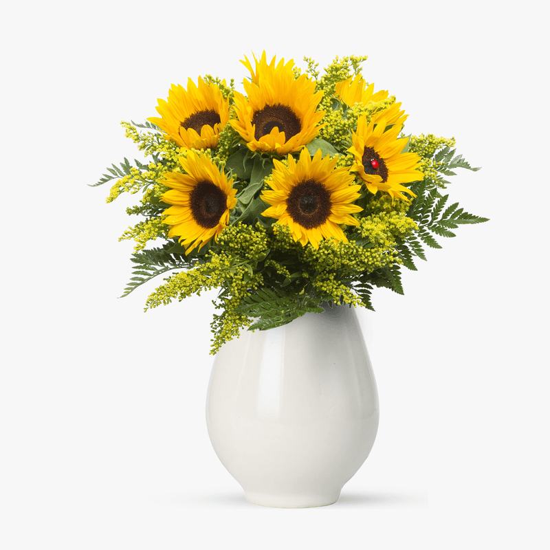 Buchet floarea-soarelui de vânzare în Piața de Flori Bacau